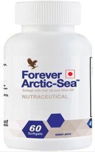 forever arctic-sea