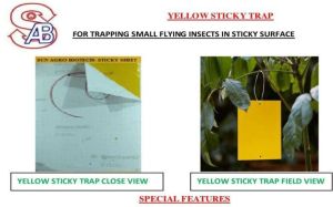 Yellow Sticky Trap