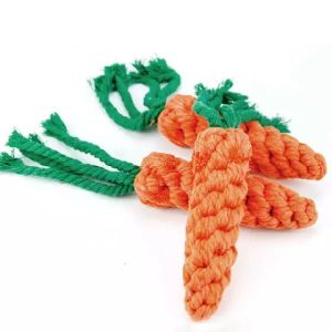 Carrot Cotton Dog Toy