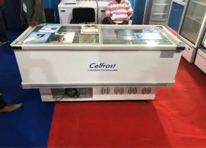 Celfrost Commercial Freezer