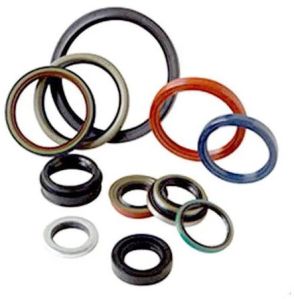 Car Engine Seals