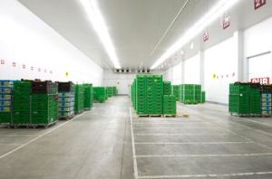 Controlled Atmosphere Cold Storage