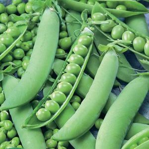 Green Peas