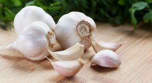 Organic Garlic