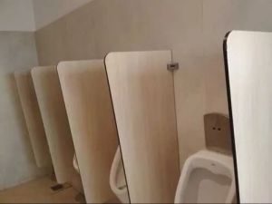 urinal partition