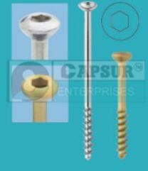 Cancellous Screw