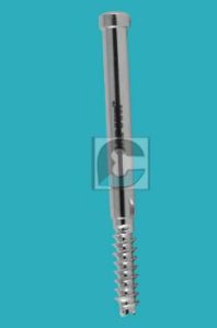 Proximal Femoral Screw