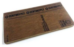 century plywood