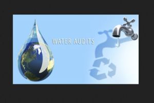 Water Audit Service