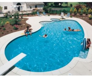 Shaped Swimming Pool