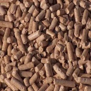 Biomass Pellets