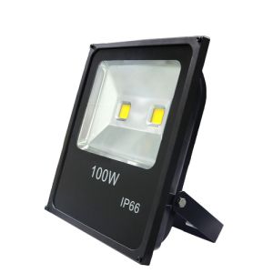 100 watt Led Flood Light