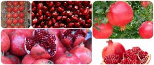 Fresh Pomegranates