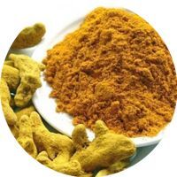 Curcumin Food Colour