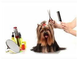 Dog Grooming Services