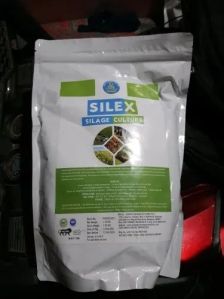 Silex Silage Culture