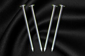 Mild Steel Wire Nails