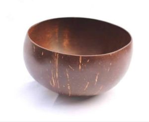 Coconut Shell Bowl