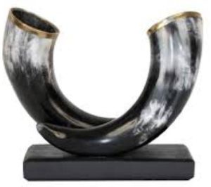 Horn for gift