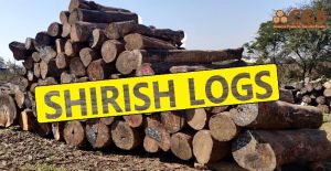 SHIRISH WOOD LOGS