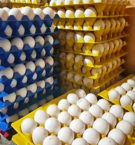 farm fresh eggs