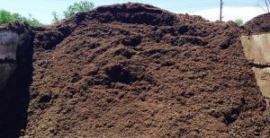 Organic Fertilizer