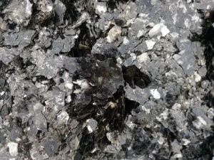 biotite