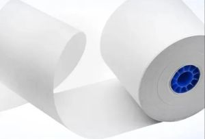 Biodegradable Polymer Coated Paper