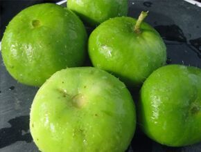 Fresh Apple Gourd