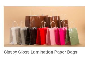 Hdpe Laminated Paper Bags