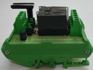Relay Interfacing Module RP24D02-1CO-M-B5/P