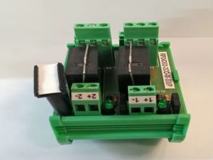 Relay Interfacing Module RP24D02-2CO-M-B8-P