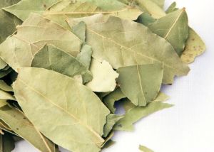 Dried Bay Leaves