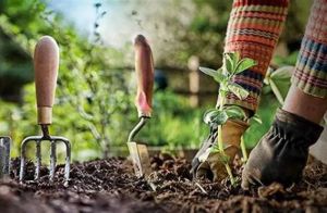 Basic Gardening Services