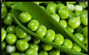 Green Peas