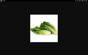 Roquette Lettuce