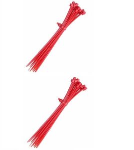 Red Nylon Cable Ties