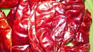 Spicy Dry Red Chilli