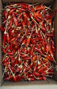 dried thai bird chilli