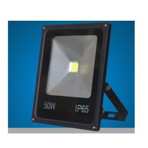 Flood Light