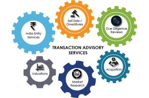 Merger Transaction Advisory Services