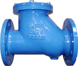 Check Valves