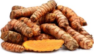 Turmeric Roots