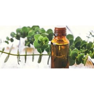 Eucalyptus Oil