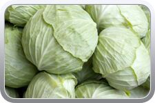 Fresh Cabbage