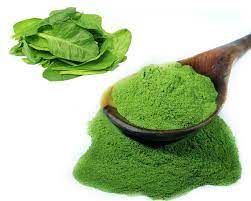 Spinach Leaf Powder