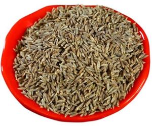 jeera seeds