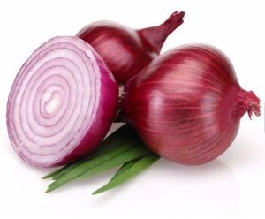 Onion