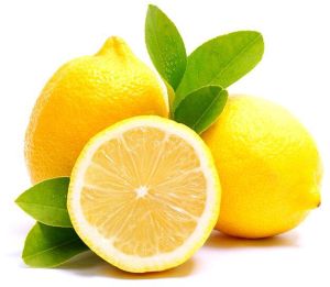 fresh Lemon