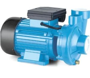 domestic water pump